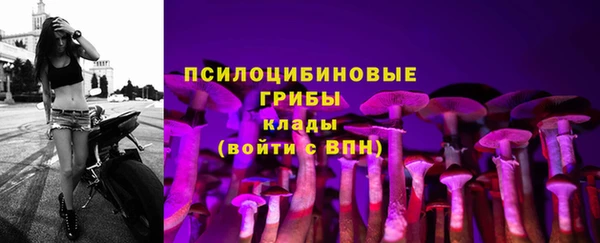 ALPHA-PVP Алексеевка