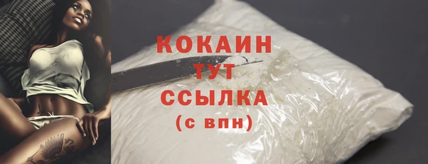 стаф Няндома