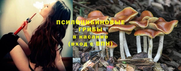 сатива Алзамай