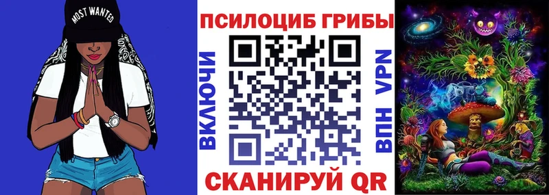 купить наркотик  площадка наркотические препараты  Галлюциногенные грибы прущие грибы  Чебоксары 