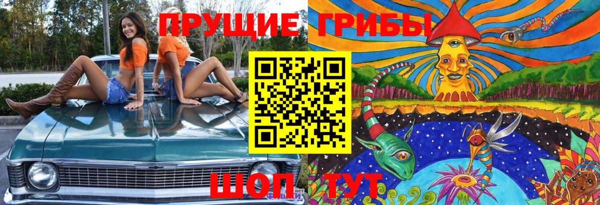 Галлюциногенные грибы GOLDEN TEACHER Чебоксары