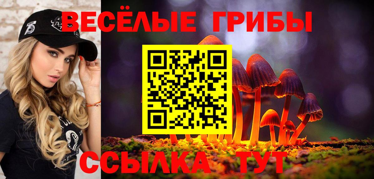 Чебоксары  Галлюциногенные грибы Magic Shrooms  Галлюциногенные грибы MAGIC MUSHROOMS  Вход с VPN 